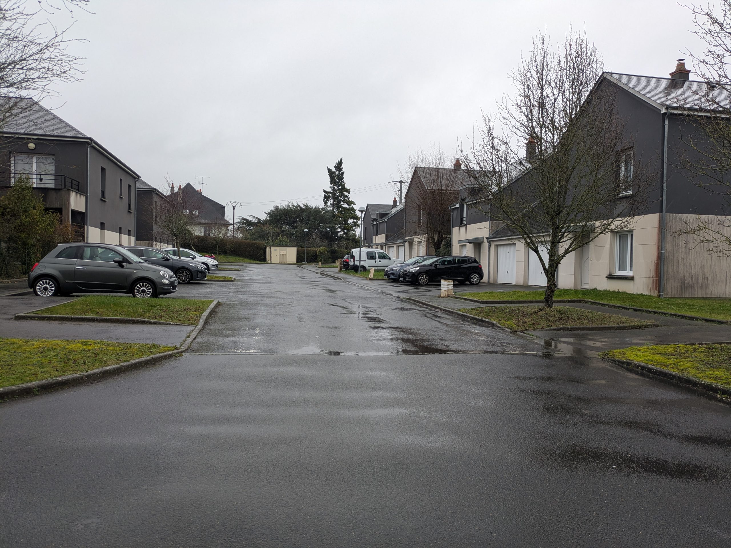 PXL_20260219_091323543