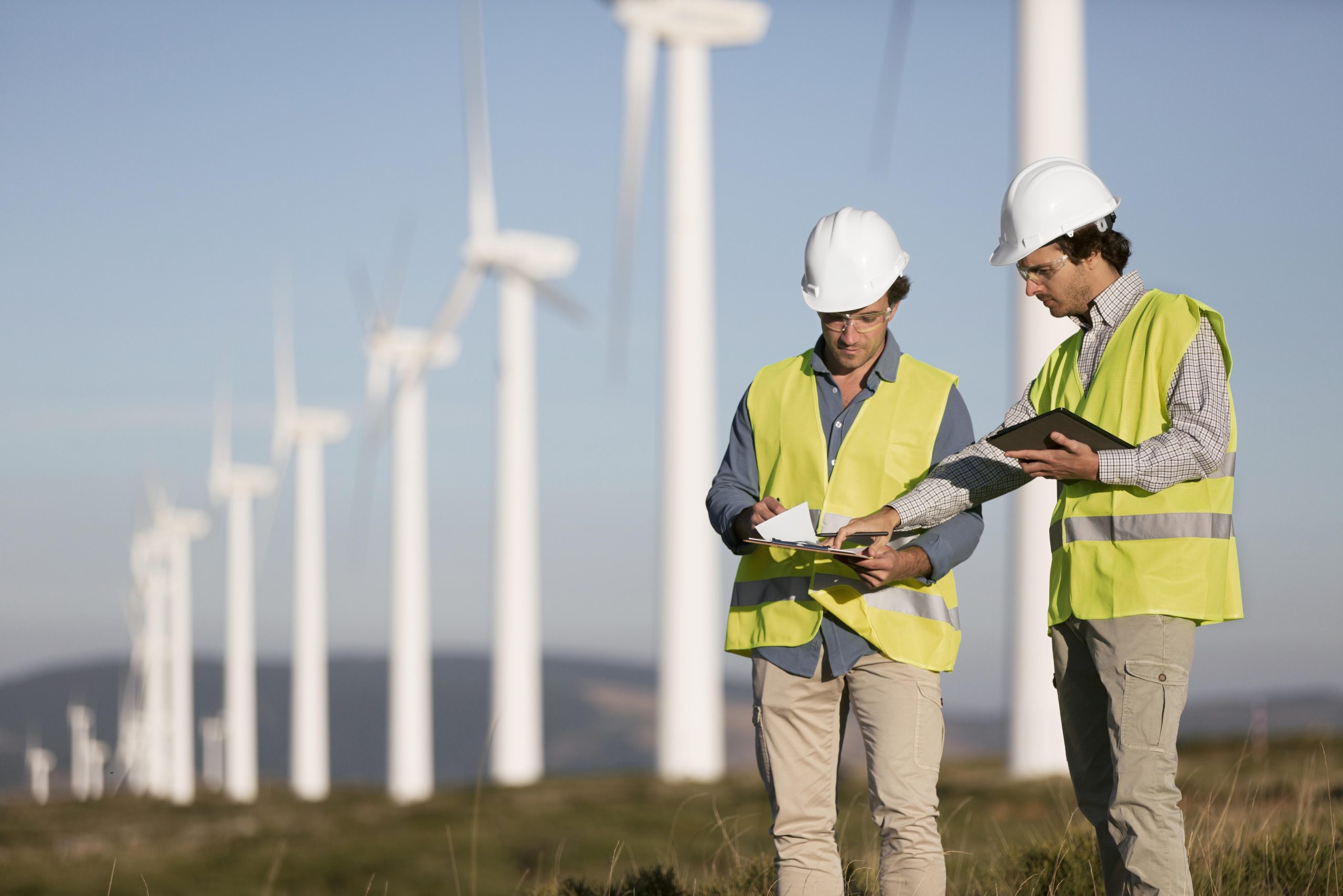 wind-farms-fields